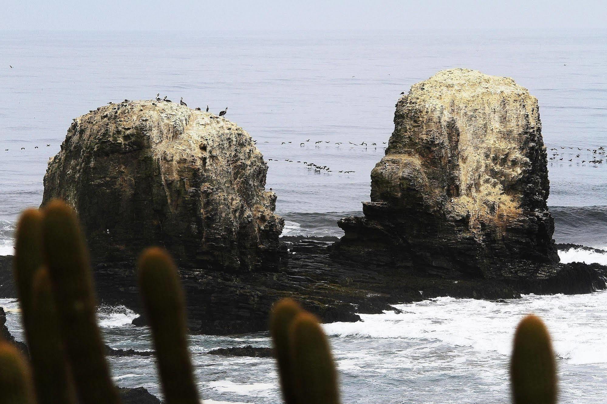 Hotel Alaia Pichilemu Exterior foto